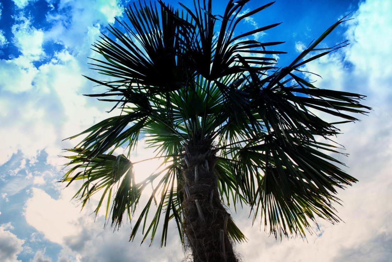 Nocleg Zator Domki Paradise Pod Palmami Extérieur photo